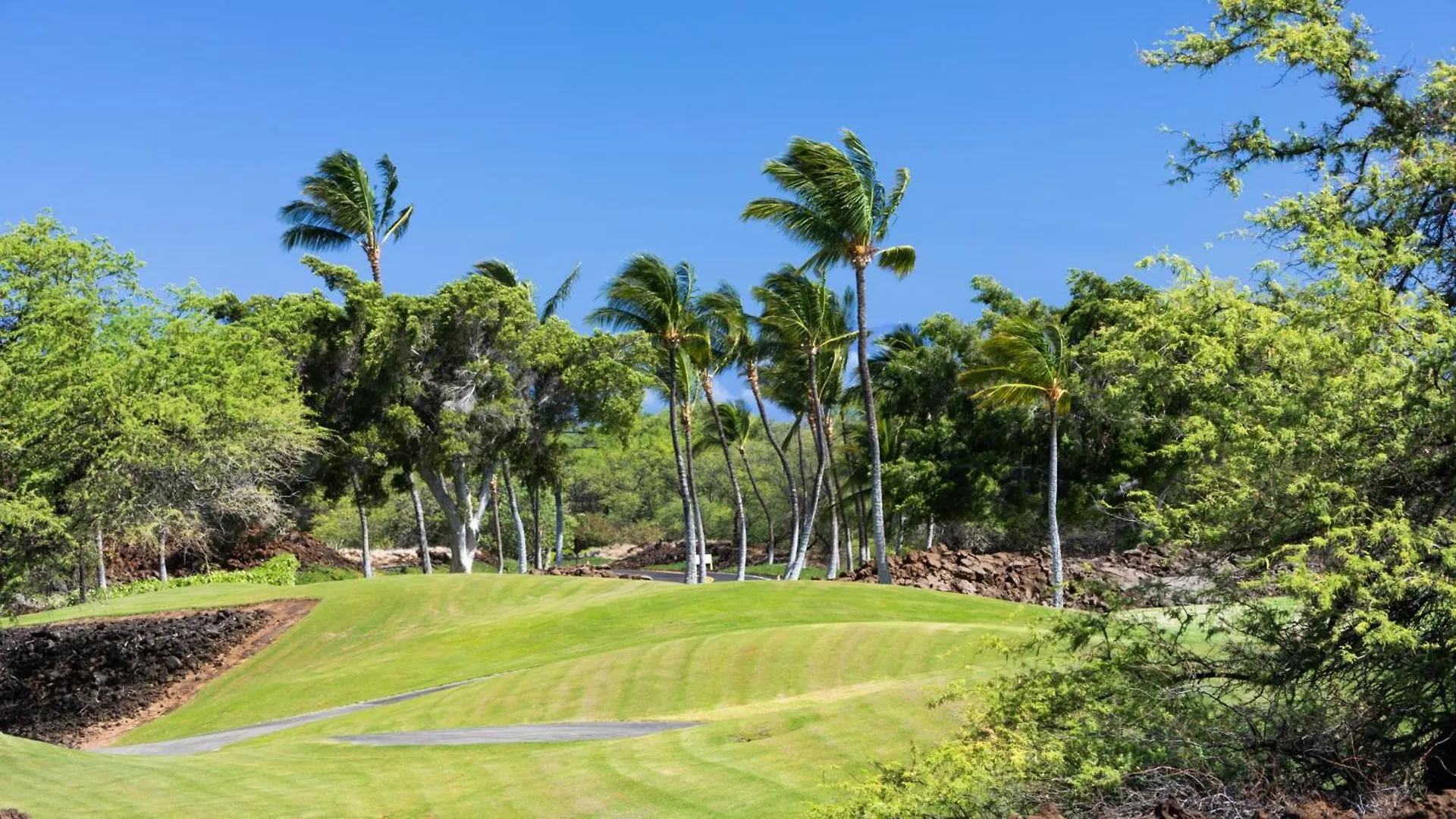 Daydream Villa Dreamy 4Br Kamilo Home With Golf And Mountain View Waikoloa 0*,